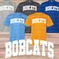 Bobcats Arched (White)