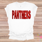 Panthers Faux Applique